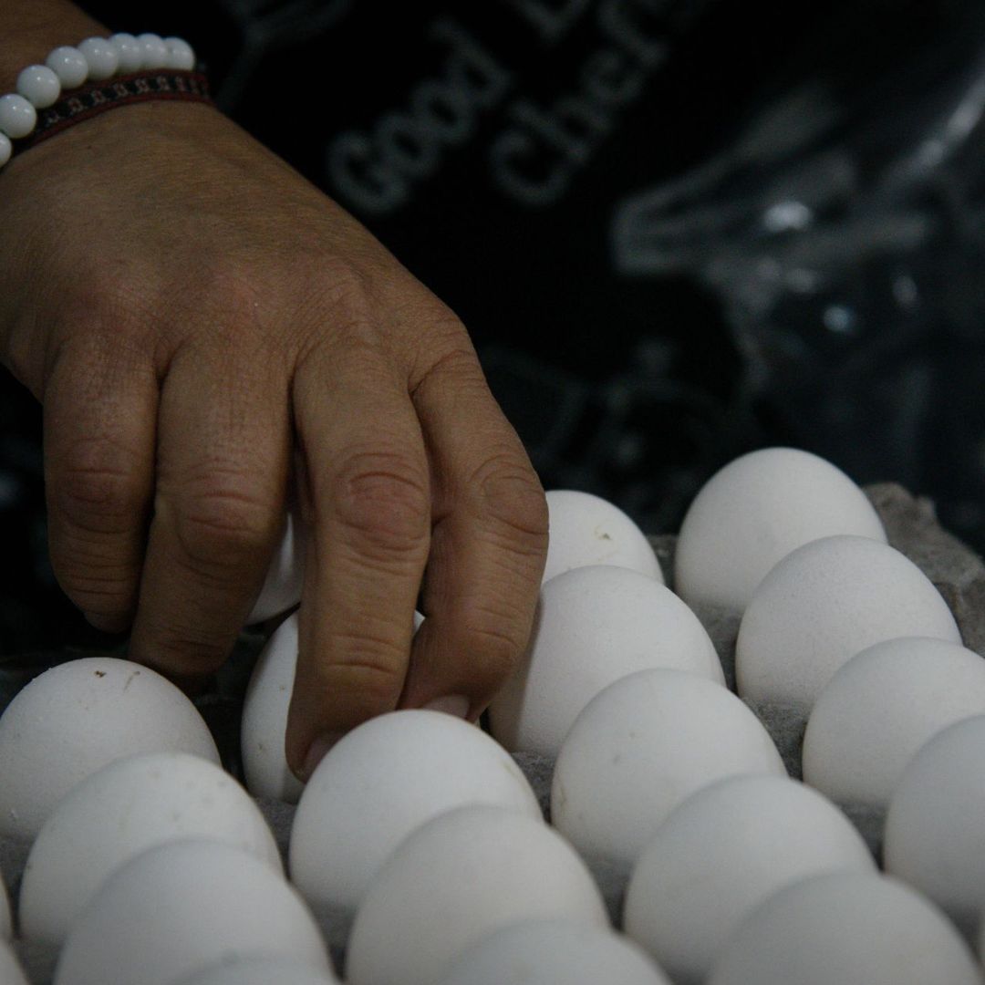 Huevos vendidos al menudeo. Foto: Cuartoscuro